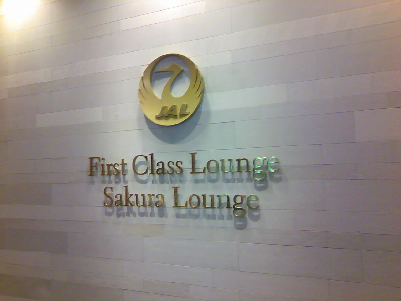 TS3P0899.jpg