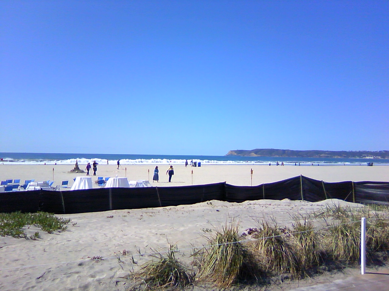 TS3P0900.jpg