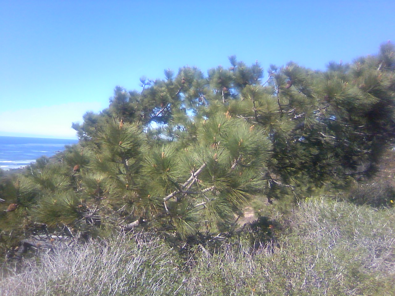 TS3P0900.jpg