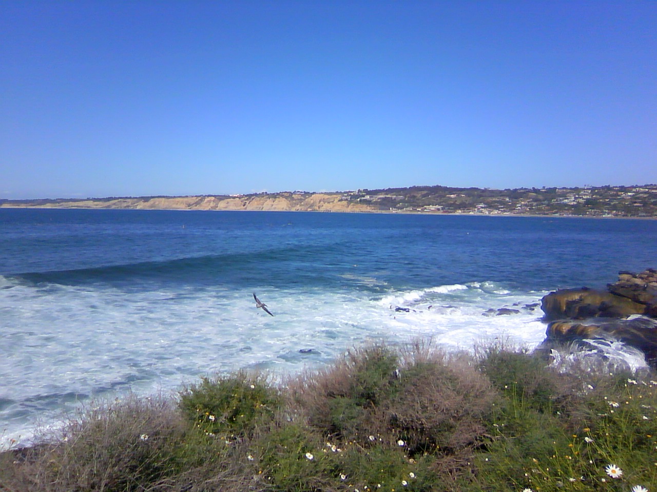 TS3P0900.jpg