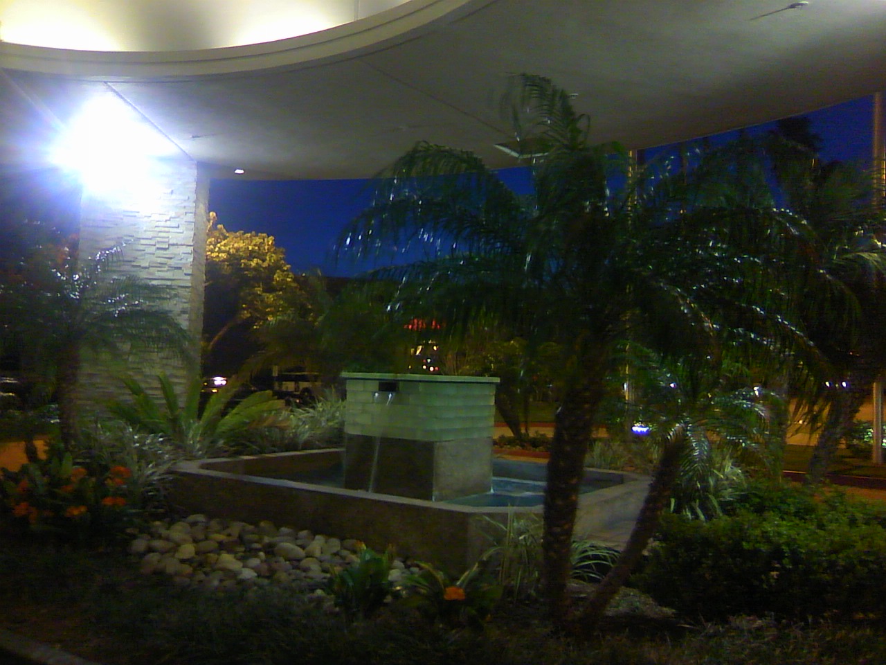 TS3P0900.jpg
