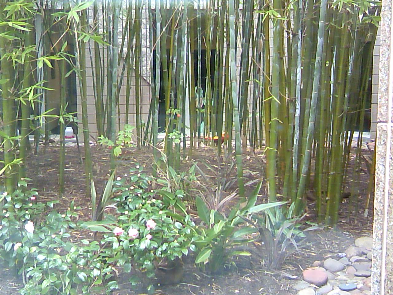 TS3P0900.jpg